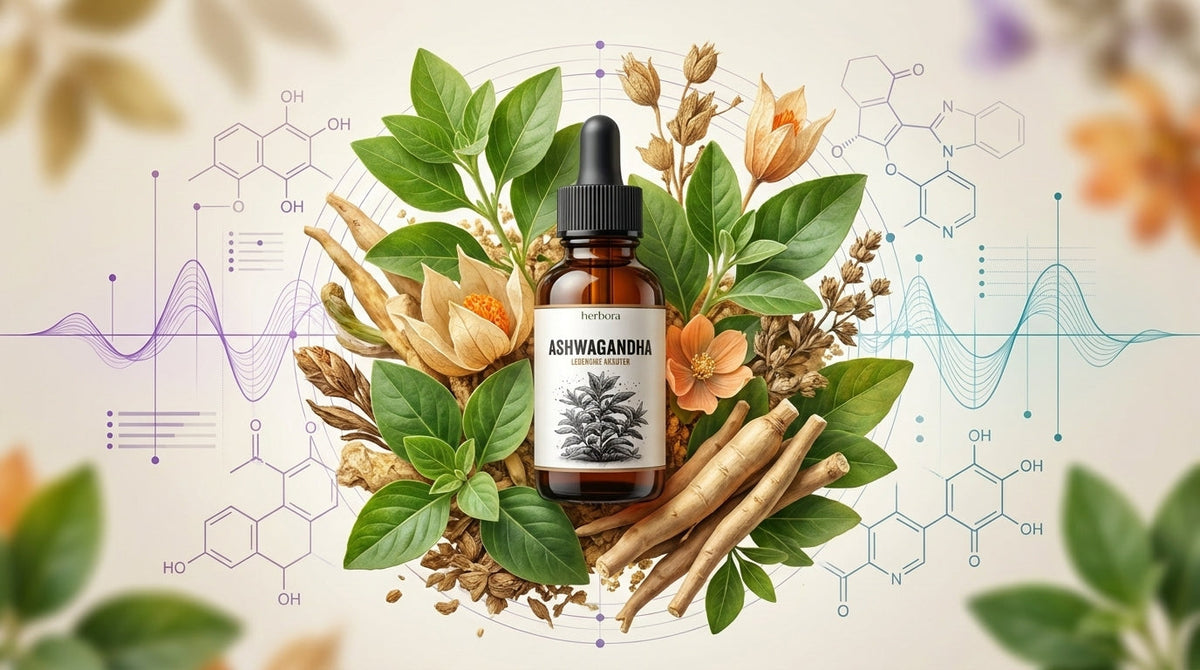 Ashwagandha Wirkung