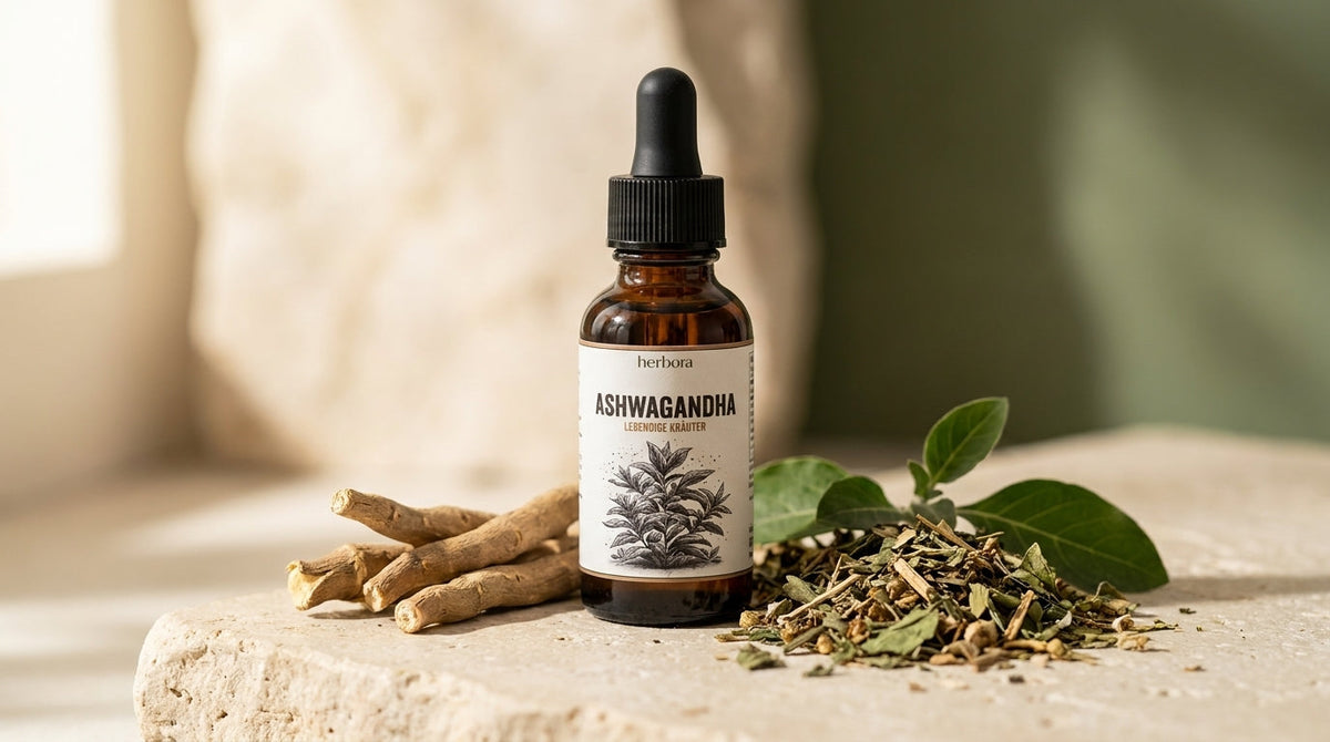 Ashwagandha kaufen