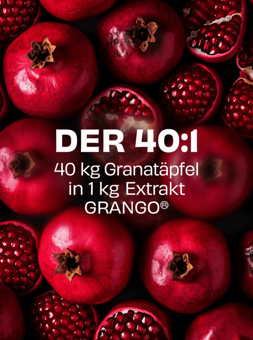 GRANGO® MEN