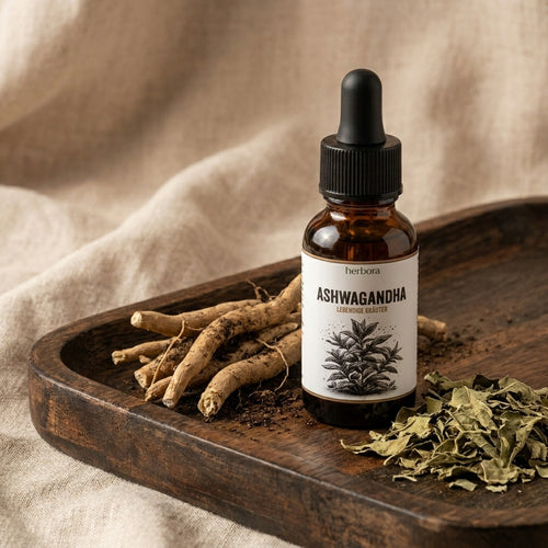 ashwagandha auf platte